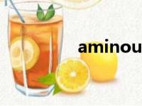 aminous翻译（amino）