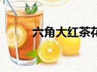 六角大红茶花优缺点（六角大红）