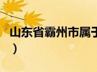 山东省霸州市属于哪个市（霸州市属于哪个市）