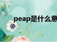 peap是什么意思（peppa什么意思）