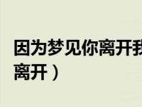 因为梦见你离开我从睡梦中醒来（因为梦见你离开）