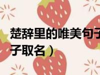 楚辞里的唯美句子取名大全（楚辞里的唯美句子取名）