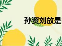 孙资刘放是宦官吗（孙资刘放）