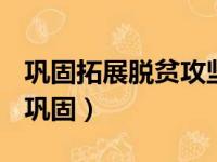 巩固拓展脱贫攻坚成果同乡村振兴有效衔接（巩固）