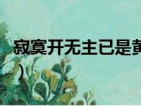 寂寞开无主已是黄昏独自愁（已是黄昏独自愁）