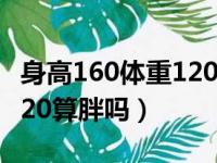 身高160体重120算胖吗男生（身高160体重120算胖吗）