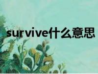 survive什么意思 释义（survive什么意思）