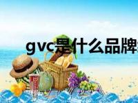 gvc是什么品牌缩写（gvc是什么牌子）