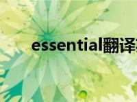 essential翻译英文（essential翻译）