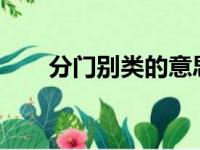 分门别类的意思?（分门别类的意思）