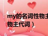 my的名词性物主代词怎么写（my的名词性物主代词）