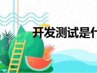 开发测试是什么职位（开发测试）