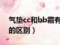 气垫cc和bb霜有什么区别?（气垫cc和bb霜的区别）