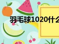 羽毛球1020什么意思（1020什么意思）