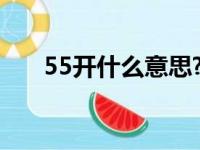 55开什么意思?修车（55开什么意思）