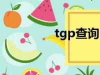 tgp查询（tgp查询战绩）