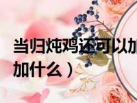 当归炖鸡还可以加什么药材（当归炖鸡还可以加什么）