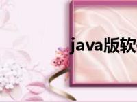 java版软件（java通用版）