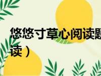 悠悠寸草心阅读题社长的用意（悠悠寸草心阅读）