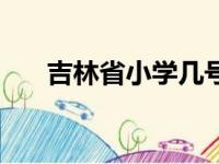 吉林省小学几号考试（小学几号考试）