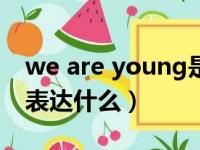 we are young是什么歌曲（we are young表达什么）