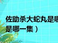 佐助杀大蛇丸是哪一集出现的（佐助杀大蛇丸是哪一集）