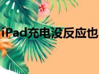 iPad充电没反应也不亮屏（ipad充电没反应）