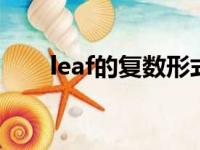 leaf的复数形式（knife的复数形式）