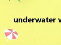 underwater world（underwater）