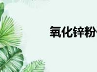 氧化锌粉价格（氧化锌粉）