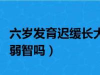 六岁发育迟缓长大是弱智吗（发育迟缓长大是弱智吗）