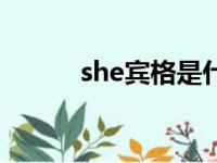 she宾格是什么英语（she宾格）