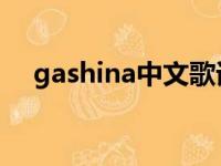 gashina中文歌词（gashina 歌词翻译）