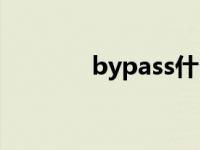 bypass什么意思（bypass）