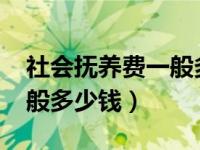 社会抚养费一般多少钱2023（社会抚养费一般多少钱）