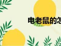 电老鼠的怎么安装（电老鼠）