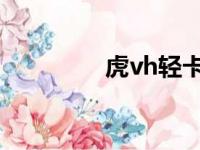 虎vh轻卡后桥多大（虎v）