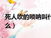 死人吹的唢呐叫什么歌名（死人吹的唢呐叫什么）