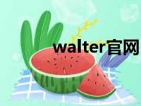 walter官网（walter什么意思）