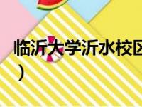 临沂大学沂水校区分数线（临沂大学沂水校区）