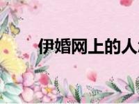 伊婚网上的人怎么那么少（伊婚网）