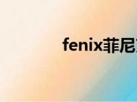 fenix菲尼克斯官网（fenix）