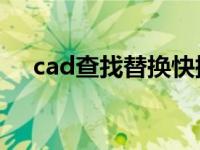 cad查找替换快捷键（查找替换快捷键）