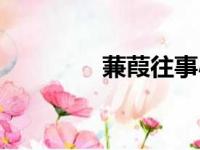 蒹葭往事小说（蒹葭往事）