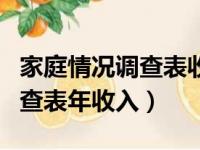 家庭情况调查表收入填多少合适（家庭情况调查表年收入）