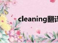 cleaning翻译成中文（cleaning）