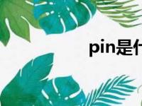 pin是什么意思（pin）