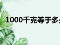 1000千克等于多少吨（5千克等于多少吨）