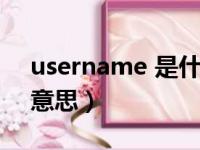 username 是什么意思（username是什么意思）