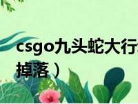 csgo九头蛇大行动时间（csgo九头蛇大行动掉落）